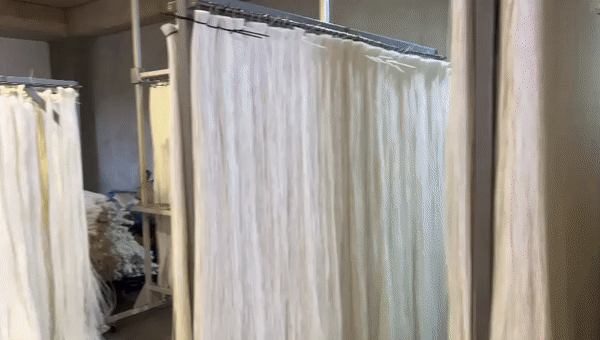 hollow fiber