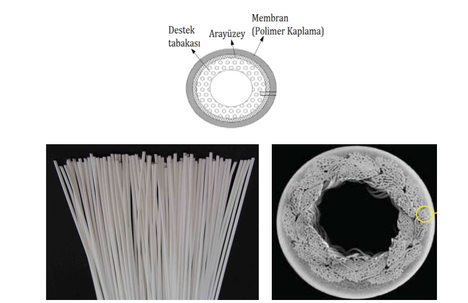 hollow fiber