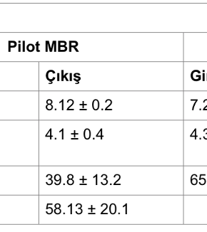 pilot ölçekli